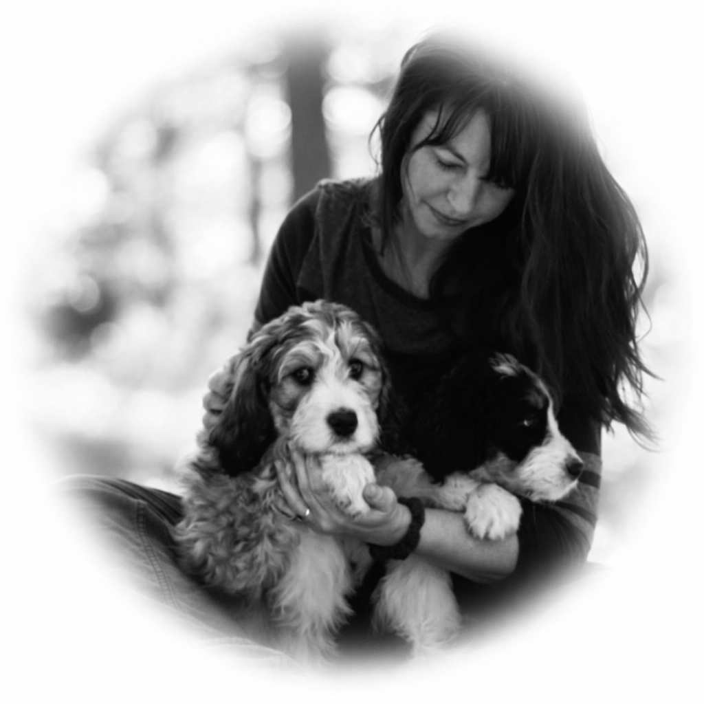 Dogs are good medicine!