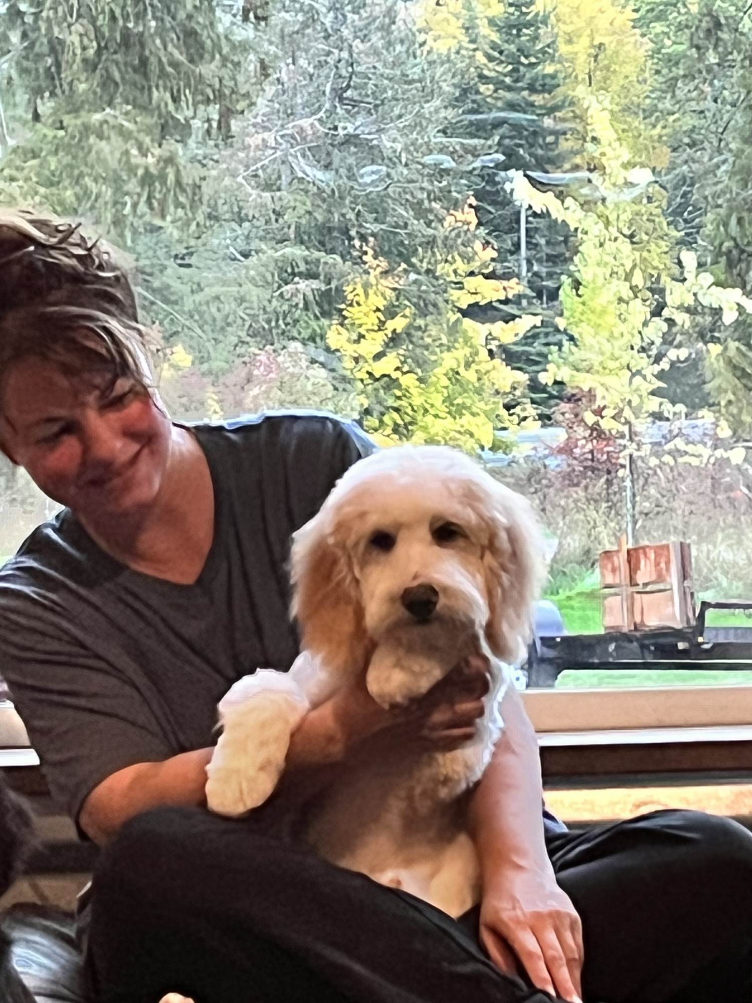 Training tips for your dog