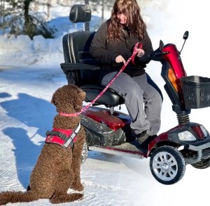 Service Dog Scooter